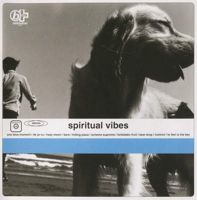 Spiritual Vibes - 1993 - Spiritual Vibes [Toy's Factory TFCC-88304]
