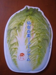 2012仙台白菜