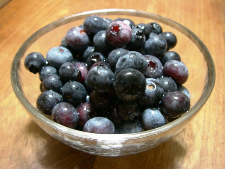 blueberry01.jpg