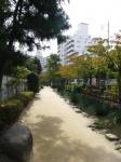 江戸川区の緑道。