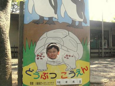 20090428-動物公園で亀になりました
