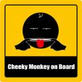 Cheeky-Monkey-on-Board.jpg