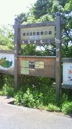 <b>横浜市</b>最高峰大丸山へ赤ちゃん連れハイキングへ行ってきました！