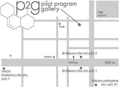 p2g_programe.gif