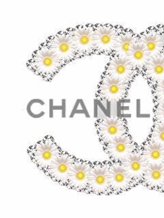 シャネル Chanel 待ち受け 壁紙 画嬢 携帯デコメ 絵文字 壁紙ブログ