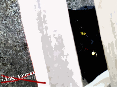 さよなら太陽 写真詩 デスクトップ フリー壁紙黒猫
