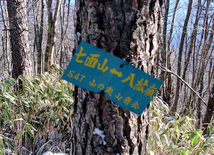 古い七面山への標識