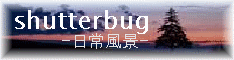 shutterbug