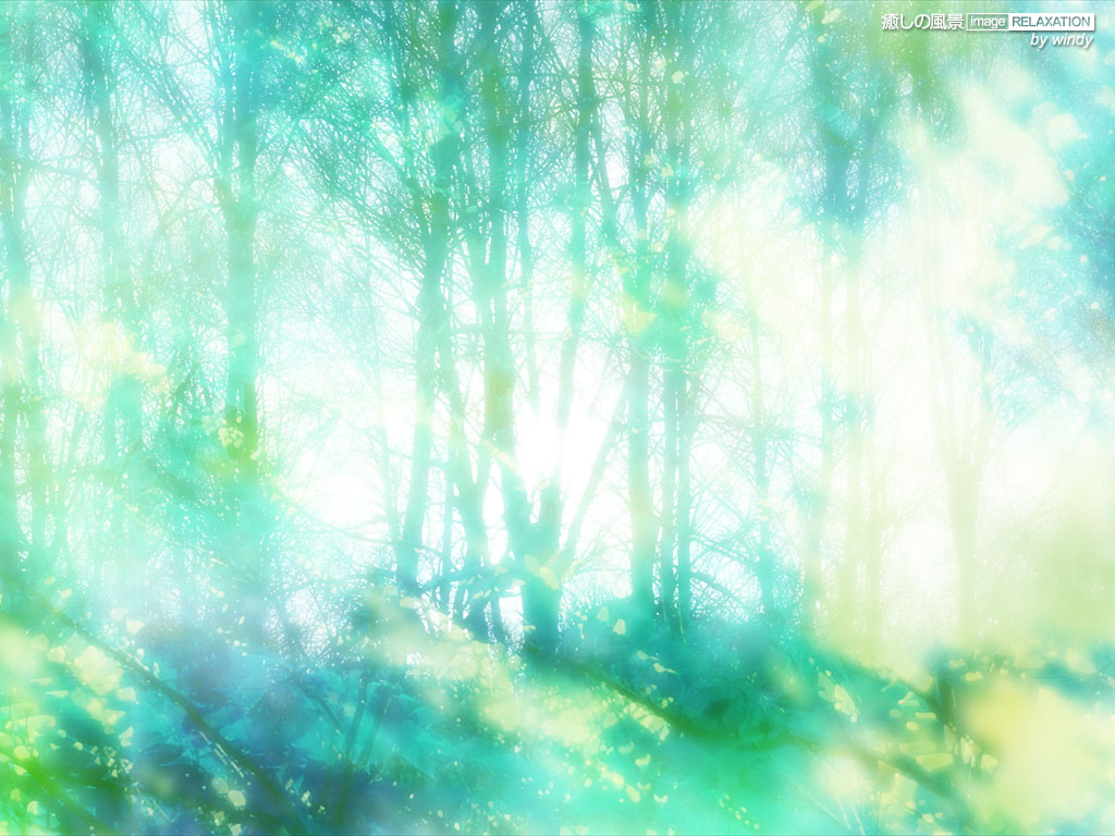 森の幻想風景 壁紙 ブルー系